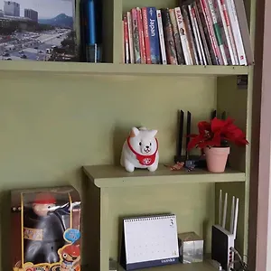 Birdsnest Hongdae Foreigner Only Сеул